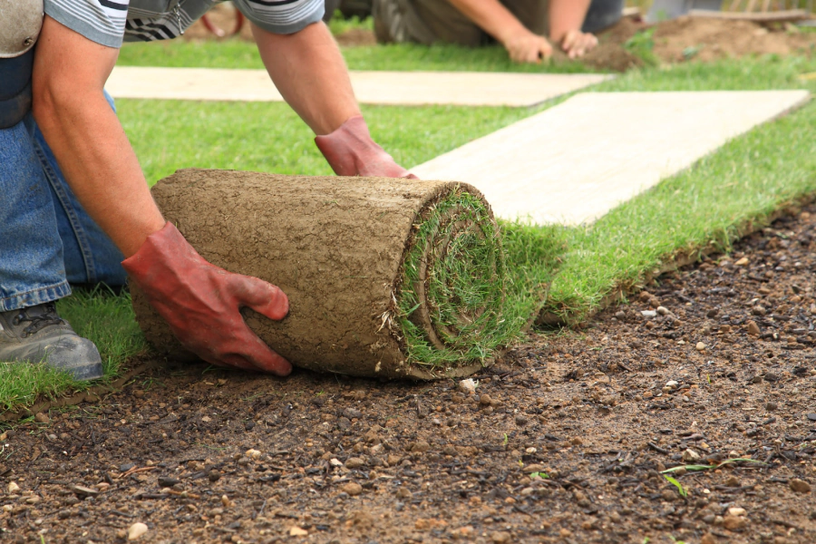bermuda SOD installation service bermuda SOD installation service