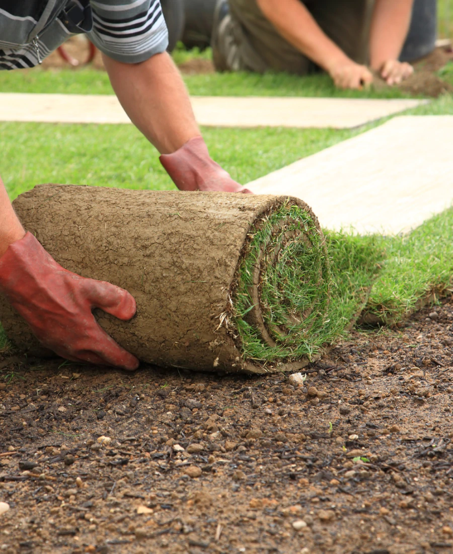 bermuda SOD installation